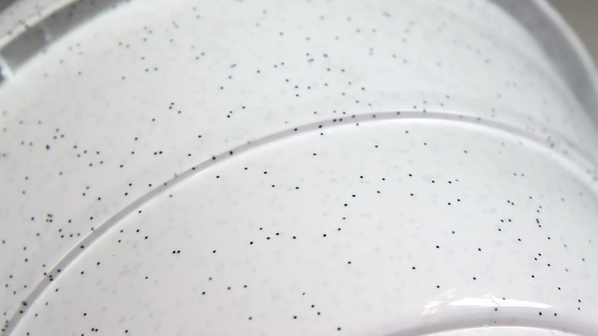 Euro Master Spa Glitter